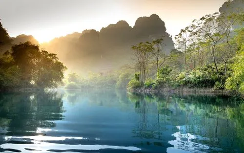 自动化高端